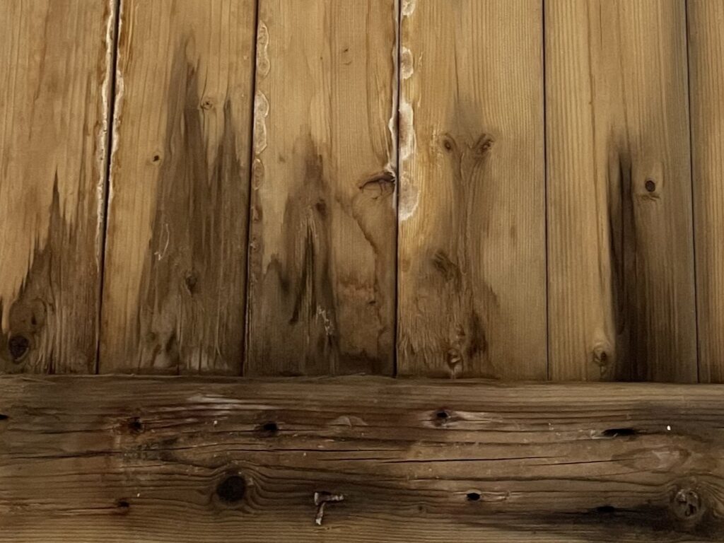 腐食が進んだサウナ木材の劣化状態（耐久性低下）