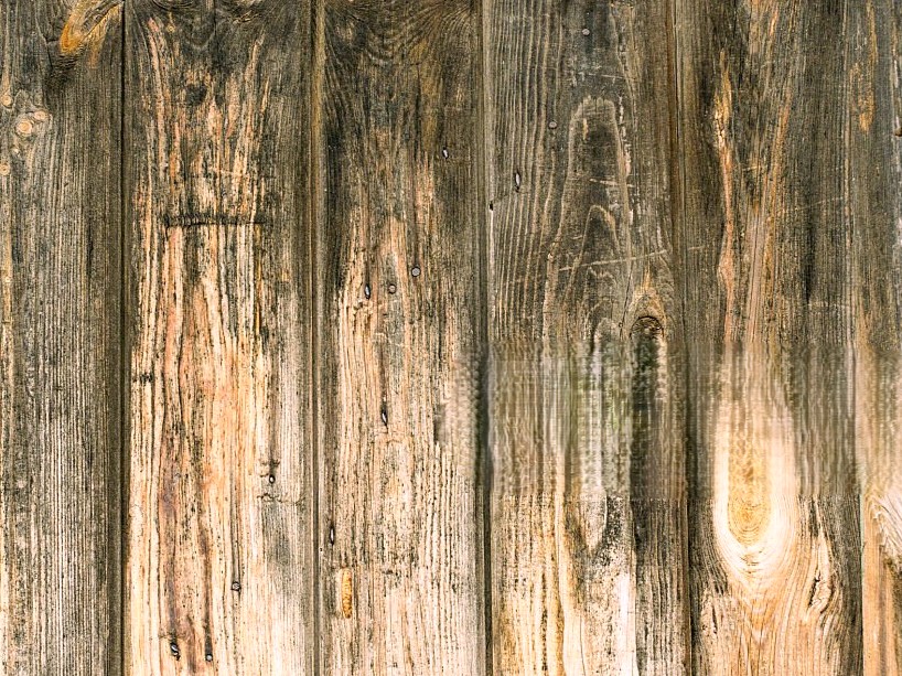 サウナ環境で黒カビが発生した木材