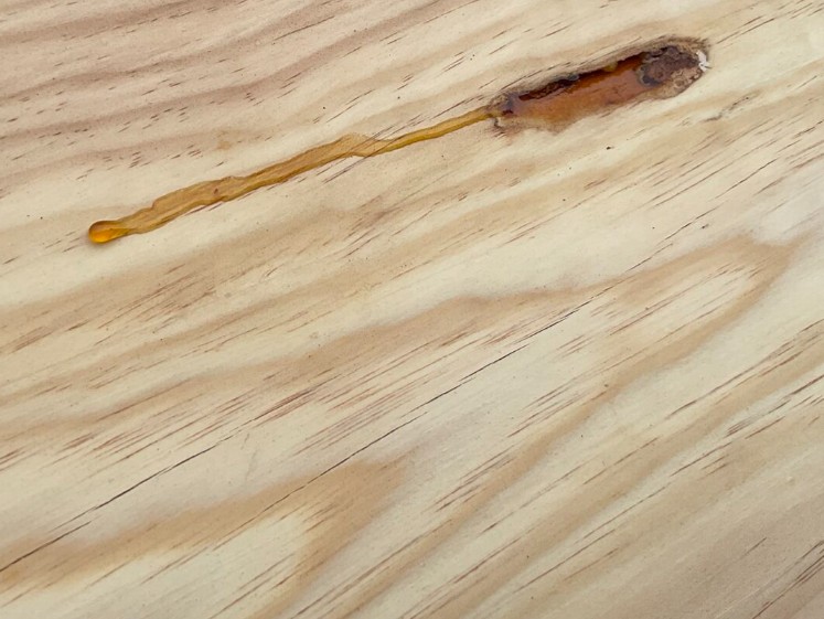 サウナでヤニが出た木材のトラブル例