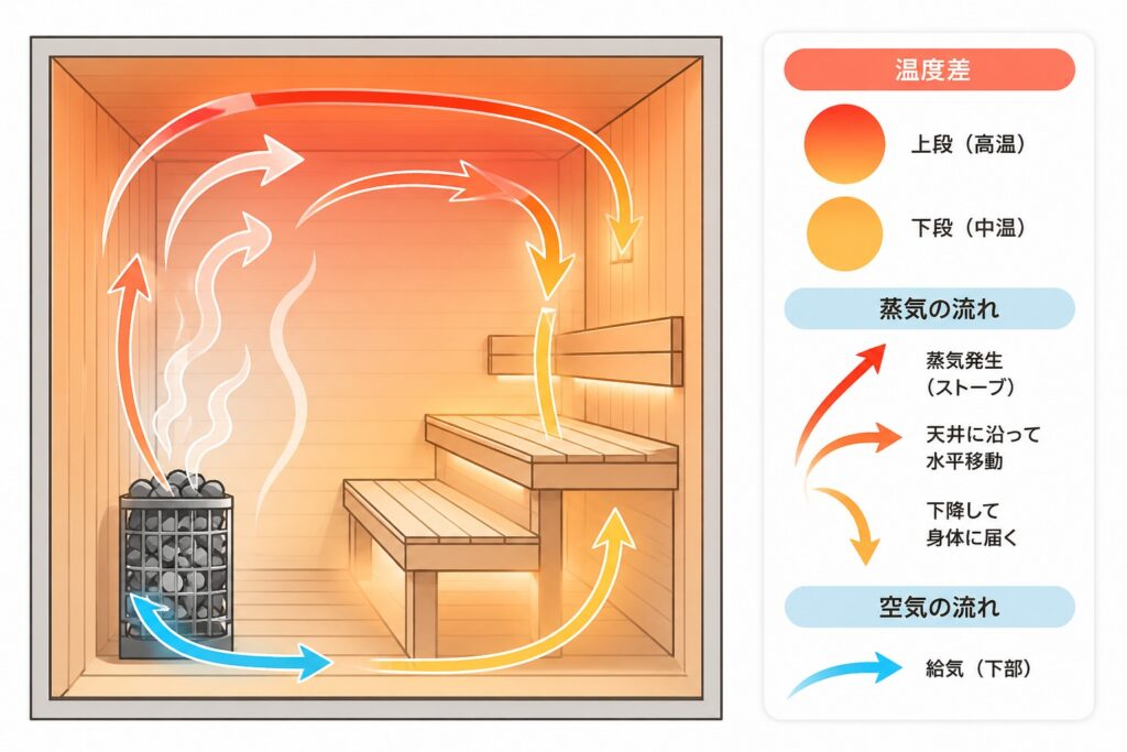 サウナ ベンチレイアウト 設計 断面図
